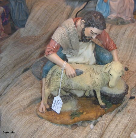 Sheep shearer here?